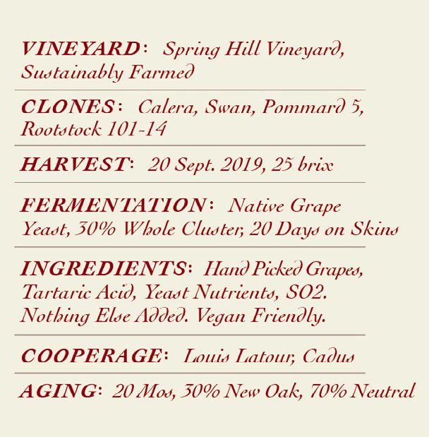 Back Label image for the 2019 Spring Hill Pinot Noir