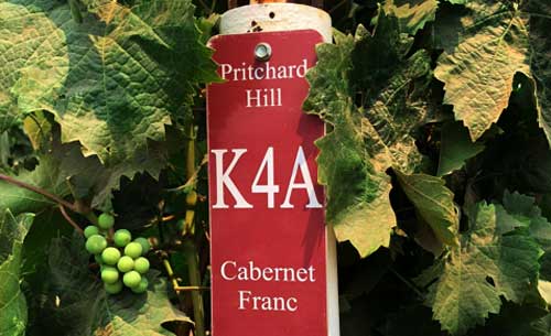 Image of the block tag at Stagecoach Vineyard showing the block we sourced our Cabernet Franc from