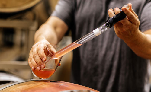 A close up of the winemaker taking rose sample from the barrel during fermentation