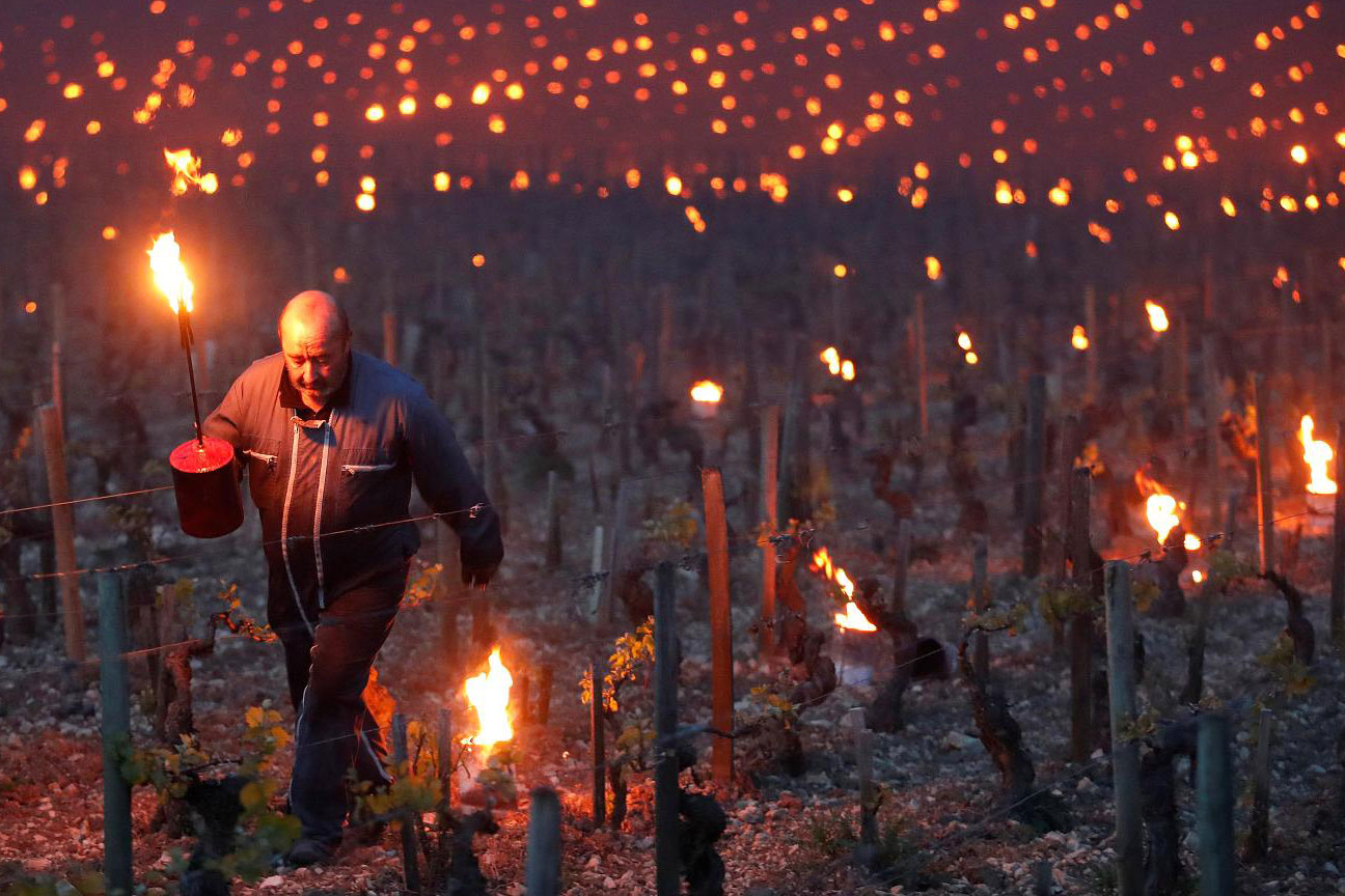 Image of a french vineyard at night with the torches being lit to protect against frost