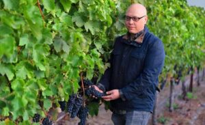 Image of vineyard showing a the owner and winemaker checking on a grape cluster