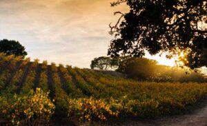 Image of Rossi Ranch in the evening as the sun is setting